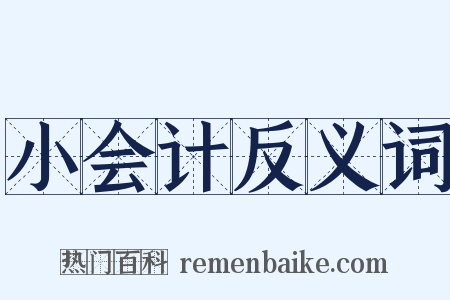小会计反义词是什么意思的图片